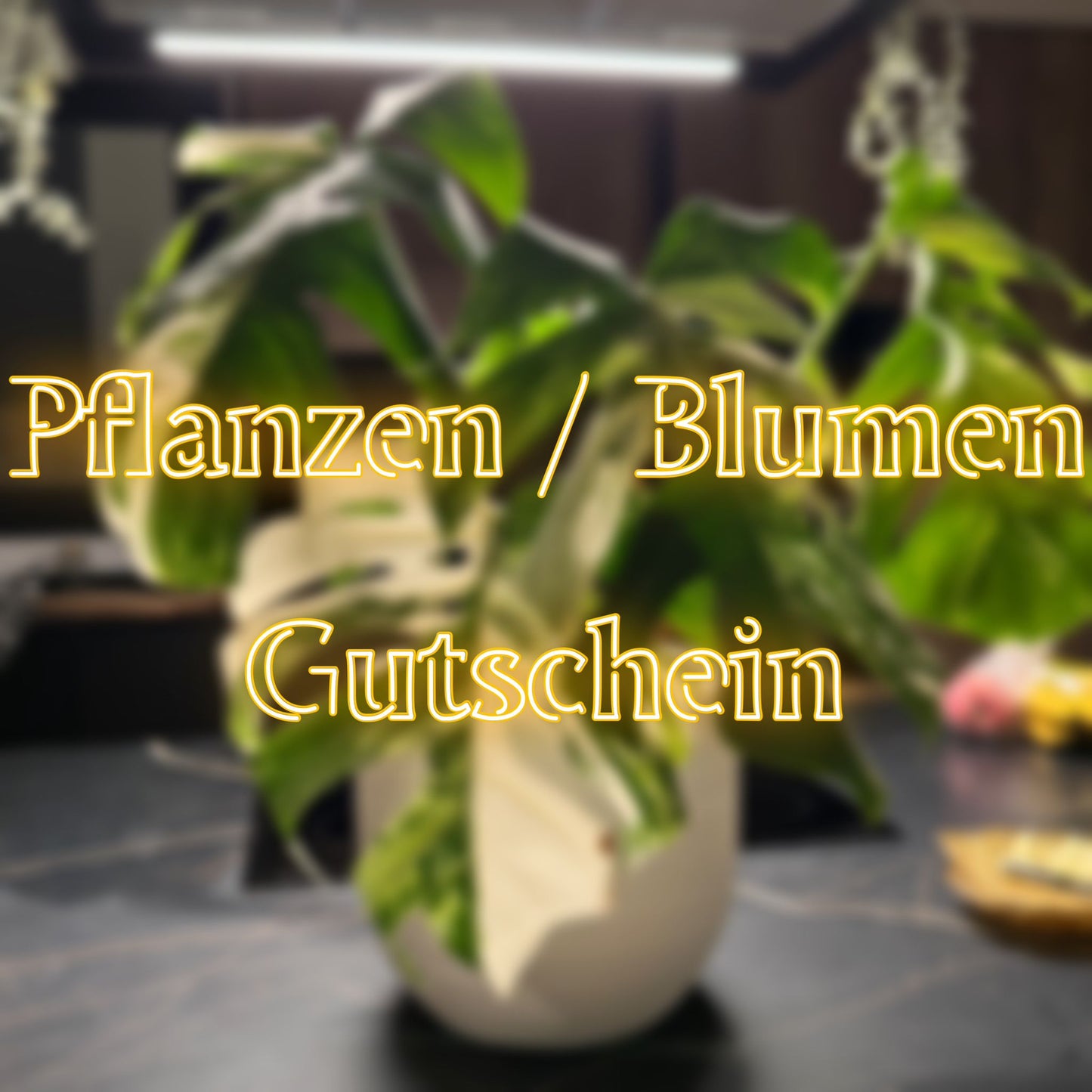 Gutschein Pflanzen